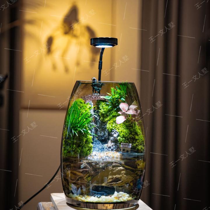 天空之桥步步高升雅致流水艺术品苔藓观赏微景观客厅优质百搭生态