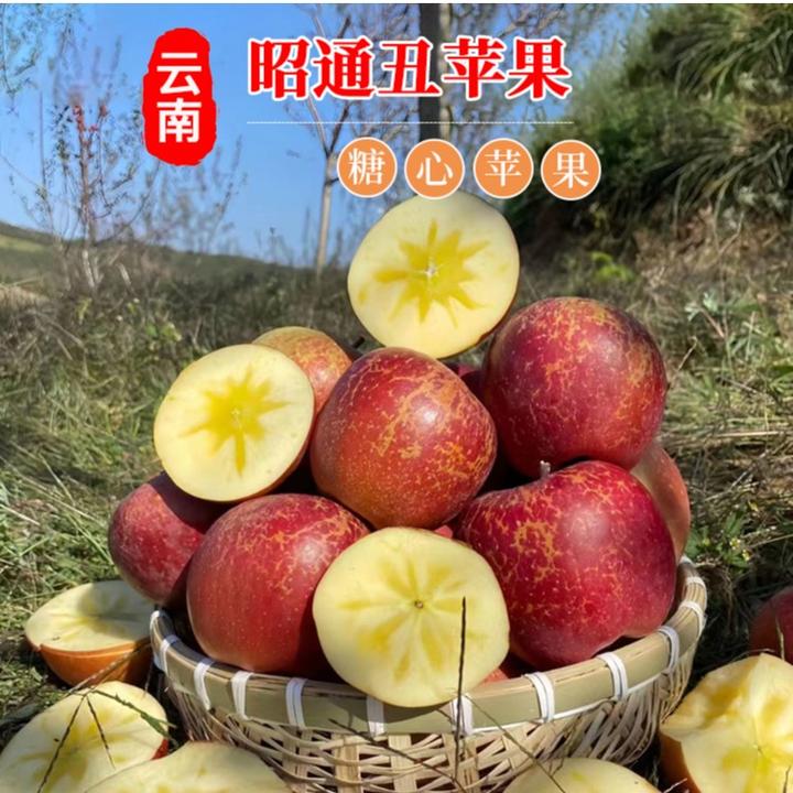 「昭通直发」正宗昭通原产地现摘新鲜苹果冰糖心丑苹果5斤10斤包邮