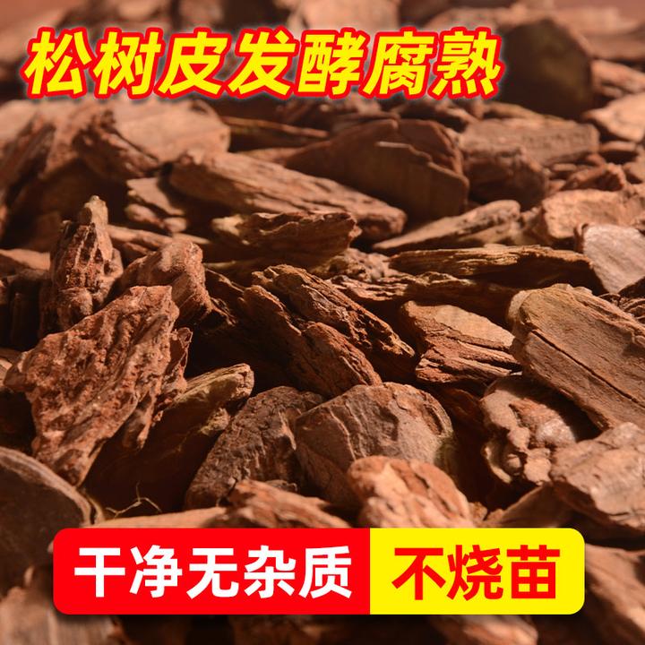 黄金发酵松树皮天然腐熟树皮君子蝴蝶兰花专用营养土精品兰花植料