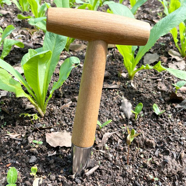 a园艺打洞器T型施肥种菜种子移苗种植工具木柄园林追肥打孔播种器