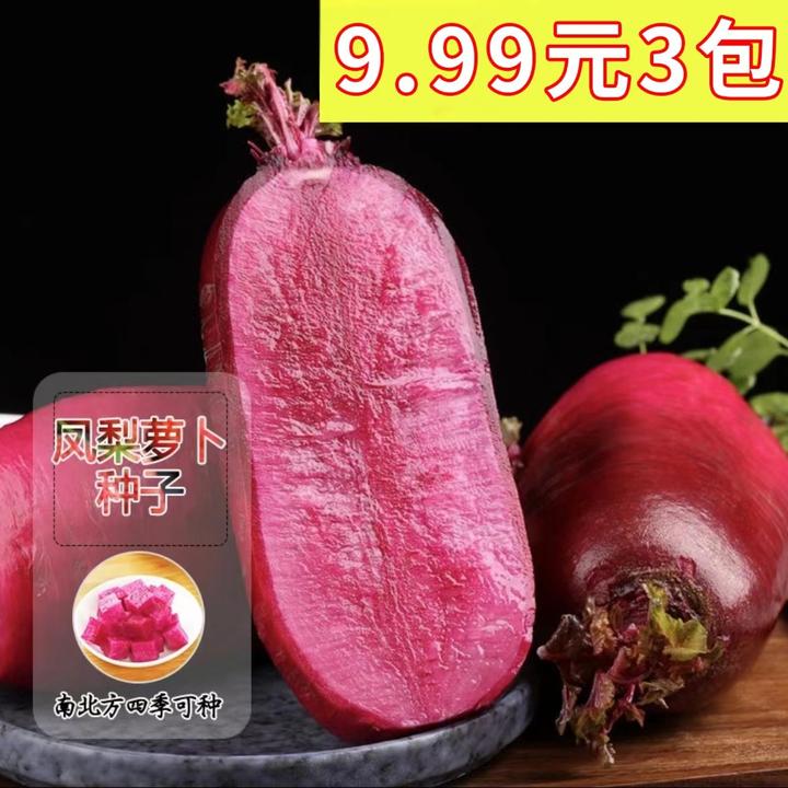 【凤梨水果萝卜】凤梨萝卜阳台菜园庭院可萝卜种子