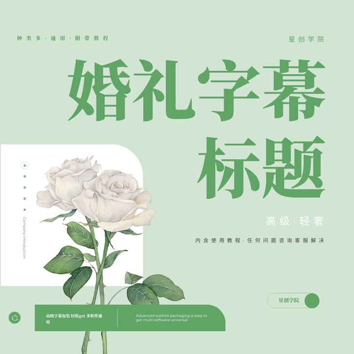 婚礼字幕标题设计