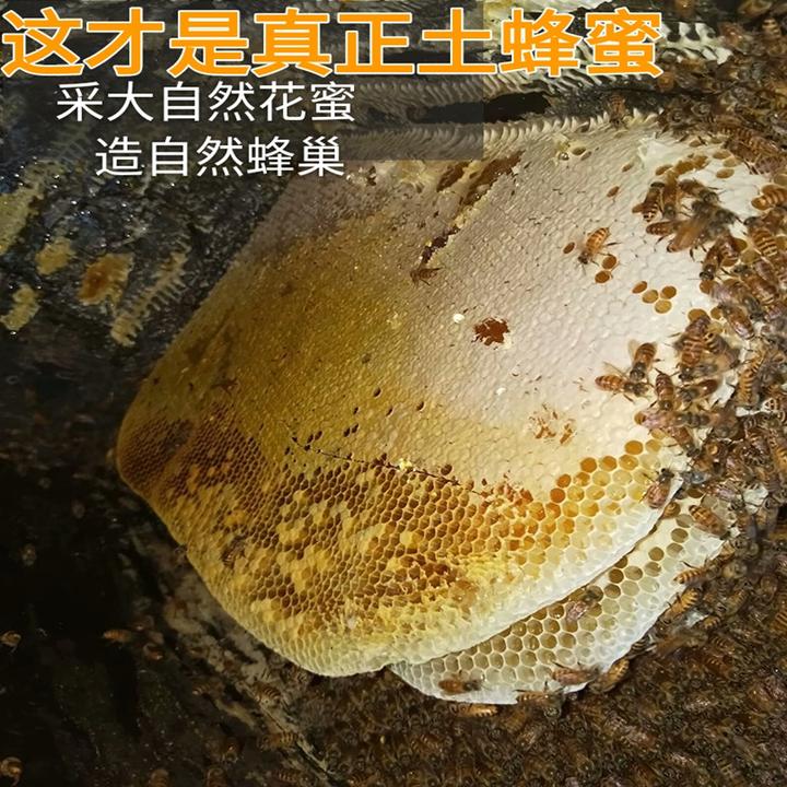 寿乡深山农家纯正天然0添加野生蜂蜜中华土蜂蜜自然成熟百花冬蜜