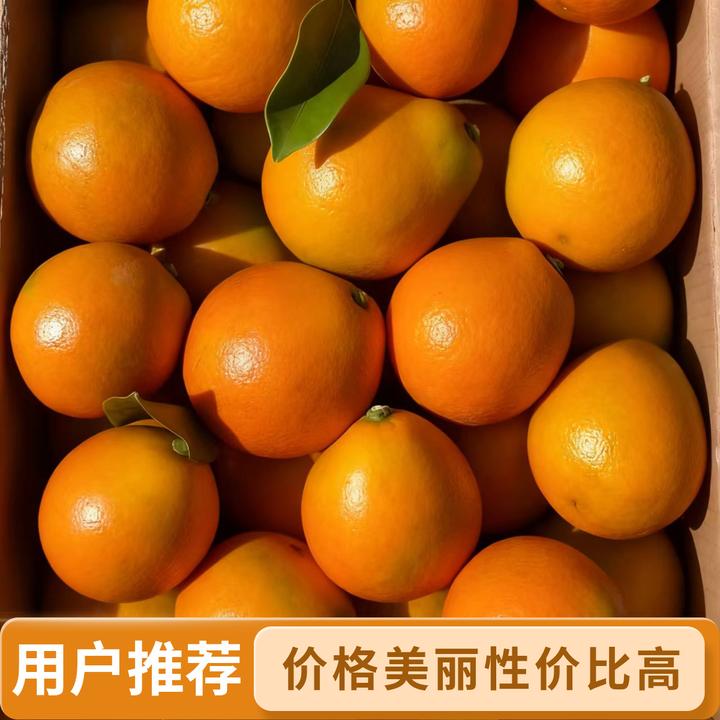 融安滑皮金桔 现摘新鲜脆甜 多汁化渣 整箱礼盒包装当季水果