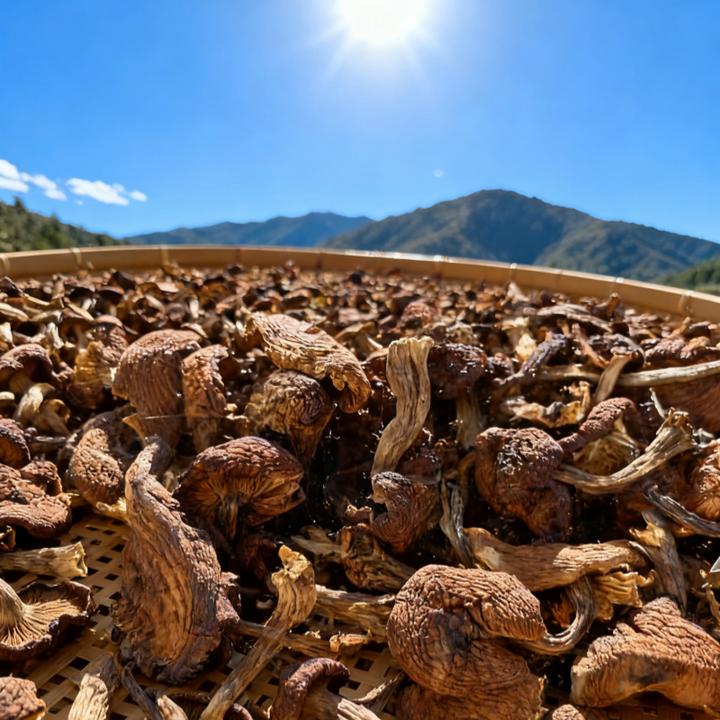 东北榛蘑 来自长白山山上自采自晒干货 小鸡炖蘑菇营养美味
