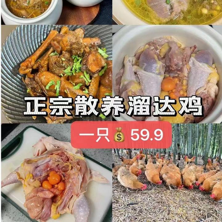 老母鸡 农家散养二年黄油老母鸡 炖汤更好吃 三斤左右 顺丰包邮