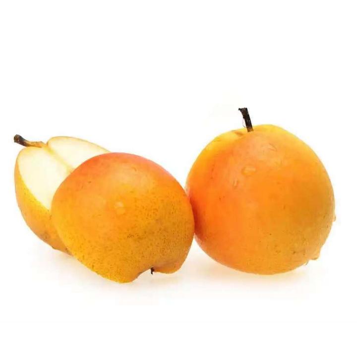 精品高端南果梨脆甜多汁（试吃装）正宗鞍山南果梨产地直发