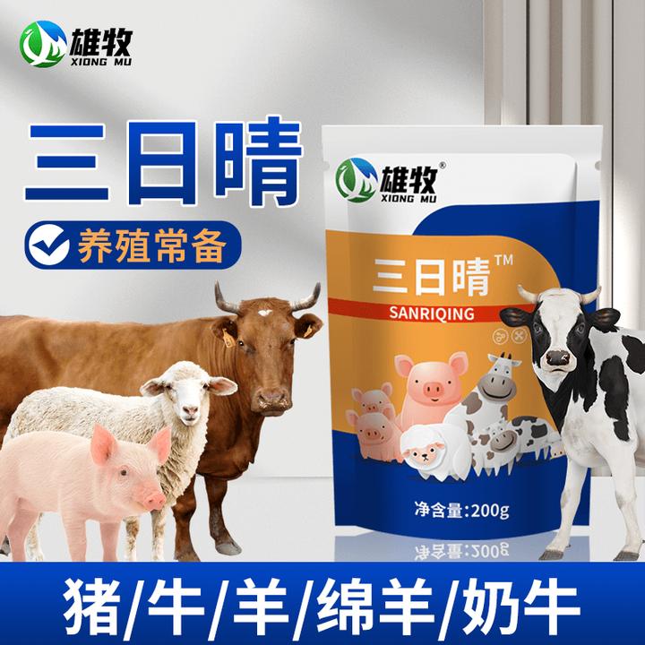 三日晴牛羊使用常见养殖适用通用厂家直销饲料添加剂