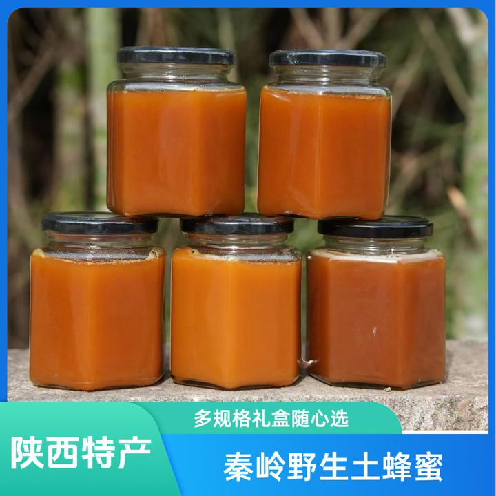 陕西特产秦岭农家野生老巢土蜂蜜无添加 压榨成熟原蜜 一年取一次