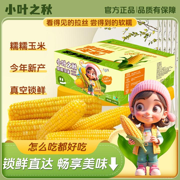 到手十根含两根试吃25年头茬新玉米黄糯玉米香甜软糯东北黏苞米