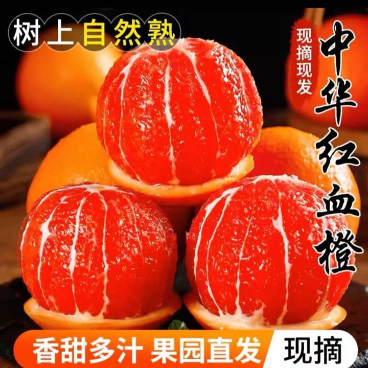 【达人专属】湖北中华红血橙江边带箱3斤 8-12个酸甜可口新鲜采摘DL