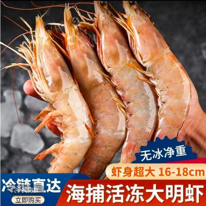 【林记鑫鲜】渤海湾大对虾冷冻明虾海捕新鲜