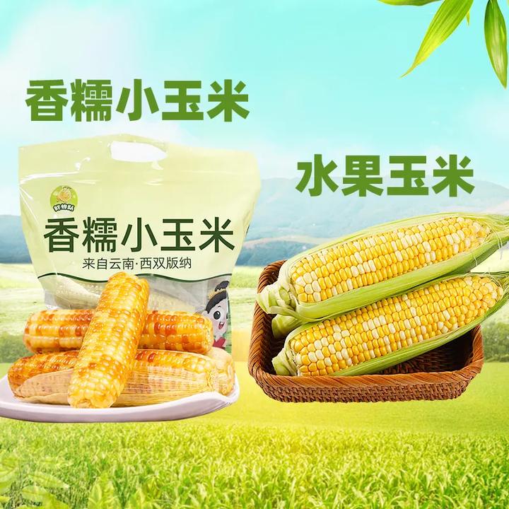 【鲜蜂队】云南香糯小玉米2斤3斤/新鲜金银水果玉米3斤5斤