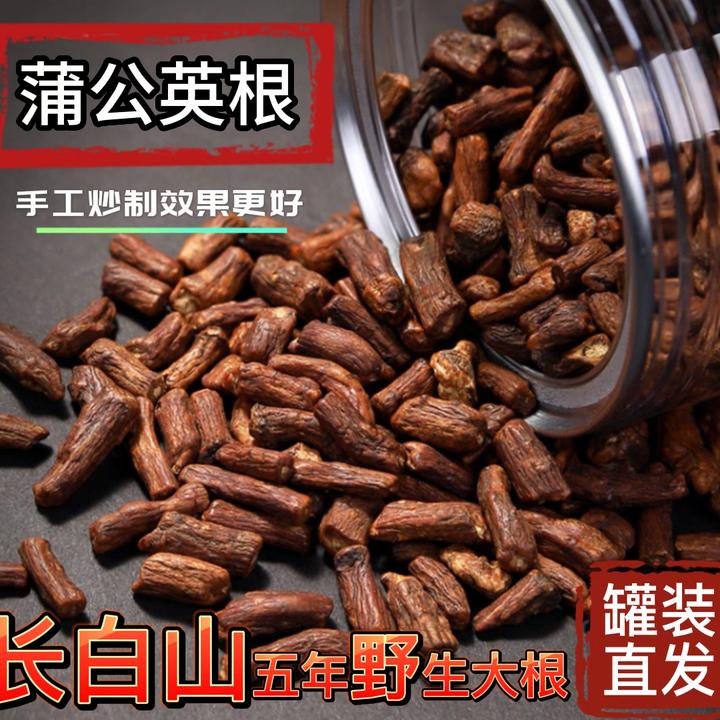 蒲公英根茶 长白山野生蒲公英根 精选壮根切断恒温炒制熟蒲公英根