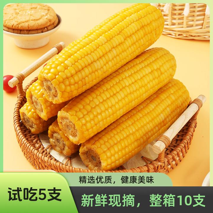 25年头茬新鲜采摘黄糯玉米香甜软糯软粘玉米整箱10支5-5.5斤