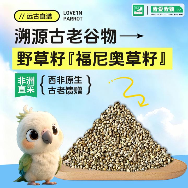 鹦鹉鸟粮非洲野草籽福尼奥草籽饲料鹦鹉专用虎皮牡丹玄凤零食