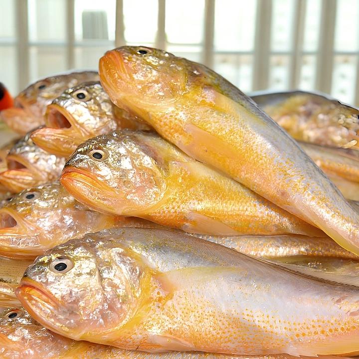 梅童鱼黄皮头特级正宗大头宝净重无冰当季冰鲜深海新鲜顺丰邮寄
