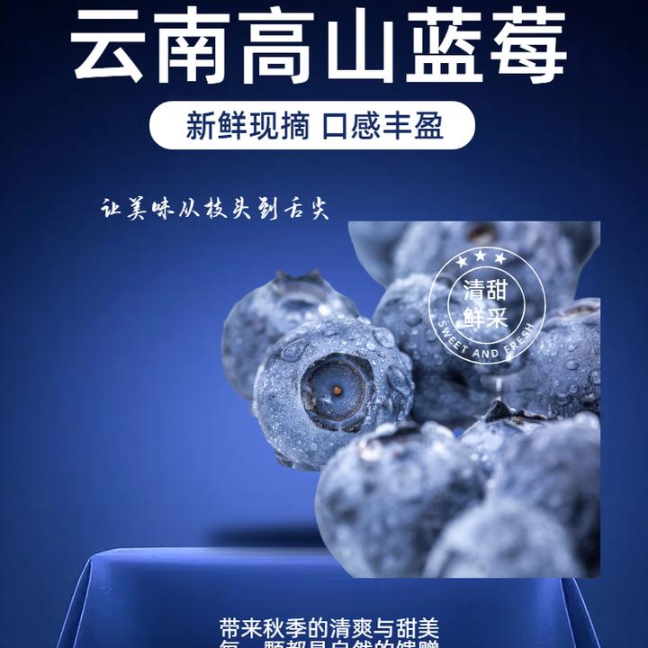 云南正宗高山新鲜现摘蓝莓鲜果酸甜可口果王100g/盒果园现摘现发