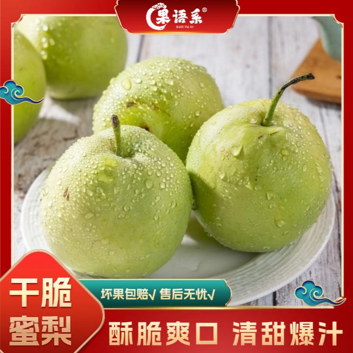 【果语系】山东千脆蜜梨4.5-5斤（4-9枚）