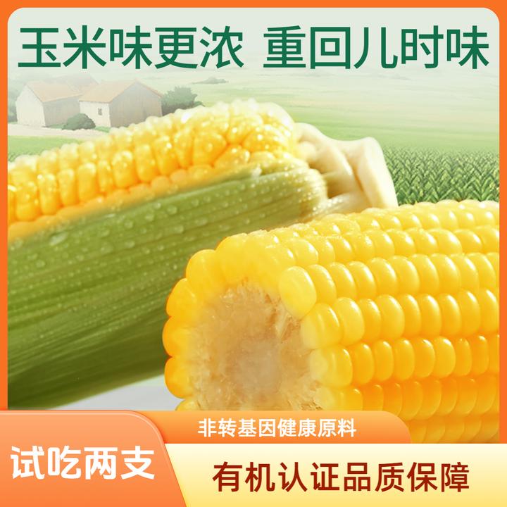 天勤粒粒净ZB铝箔黄甜糯有机玉米全新品种口感升级300g*8支