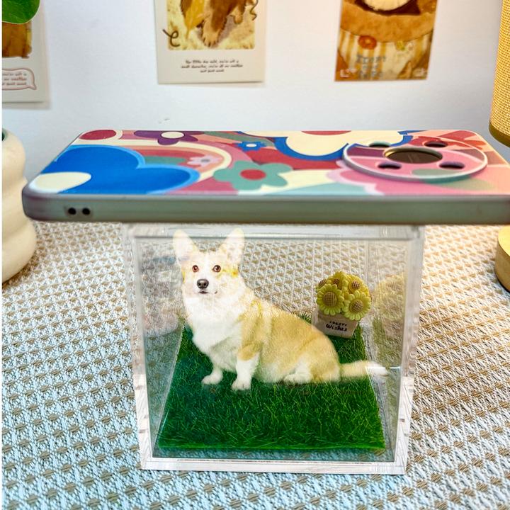 宠物全息数字屋 宠物纪念摆件 高透光材质全息影像 爱宠DIY