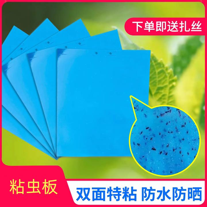 粘虫板黄板双面批捕虫板诱虫板捉虫板杀蚜虫粉虱小飞虫小黑虫大棚