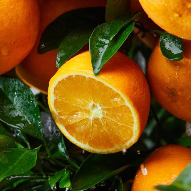 赣南脐橙早橙原产地直发5斤
