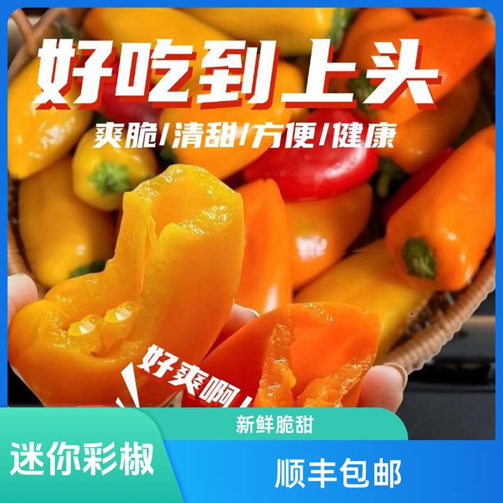 新鲜迷你水果彩椒可生吃甜椒小辣椒500g蔬菜沙拉顺丰包邮