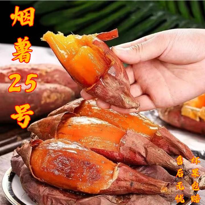小耘乡烟薯25号糖心红薯沙地蜜薯新鲜现挖软糯香甜