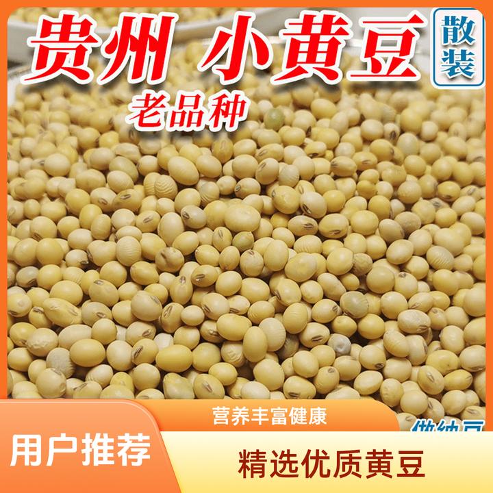 贵州开阳老岩寨高山露天种植黄豆米可留种可发芽当季农家菜