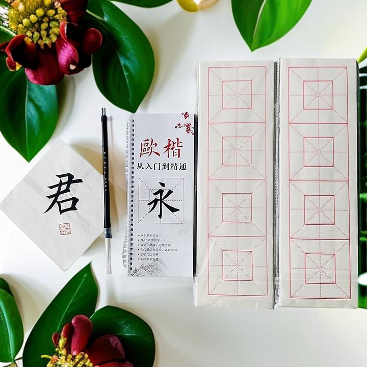 书+视频课+纸+笔+作品+3年一对一批改作业 注意：只批改笔画