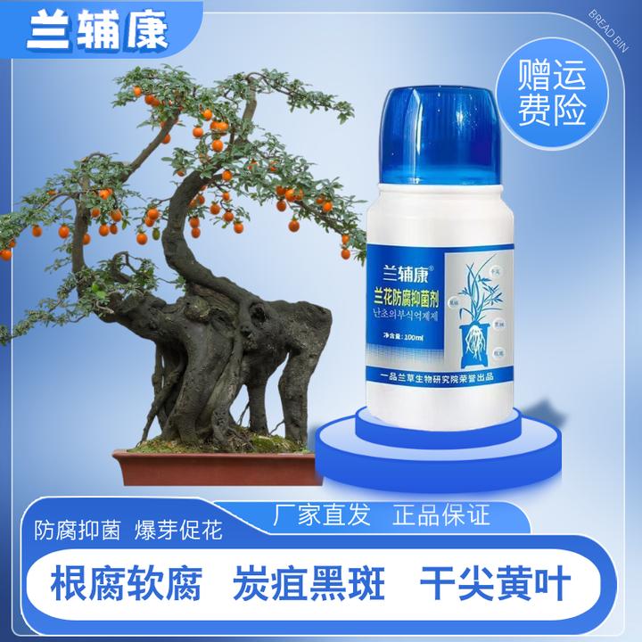 兰辅康茎腐根腐软腐白绢病通用