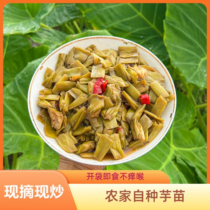 广西农家芋苗梗现摘现炒特产美食开袋即食厂家直发新鲜日期