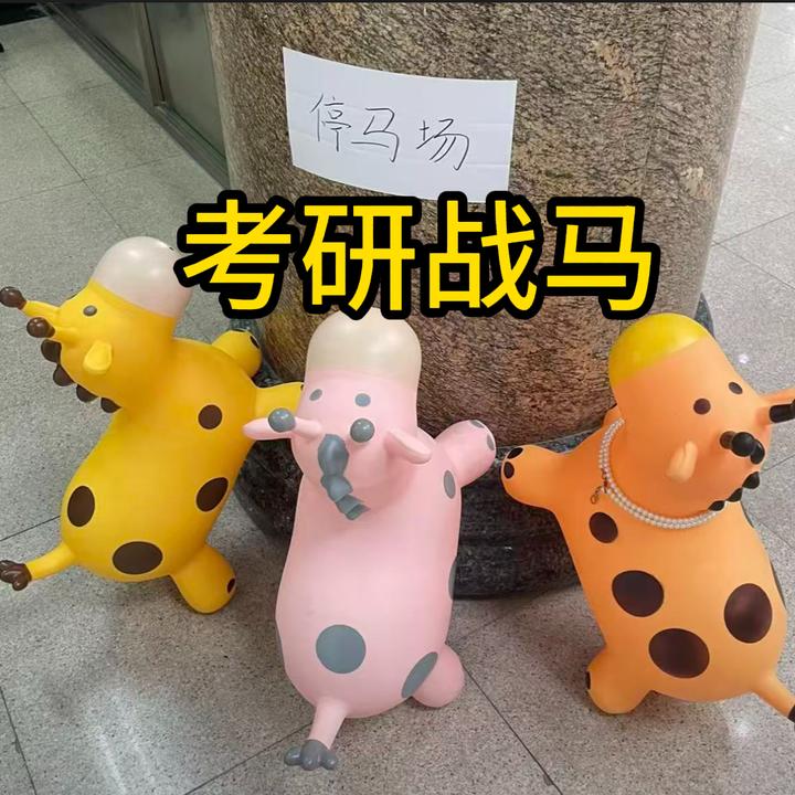 考研战马充气跳跳马坐骑背书神器图书馆座椅防困大人可坐防摔防爆