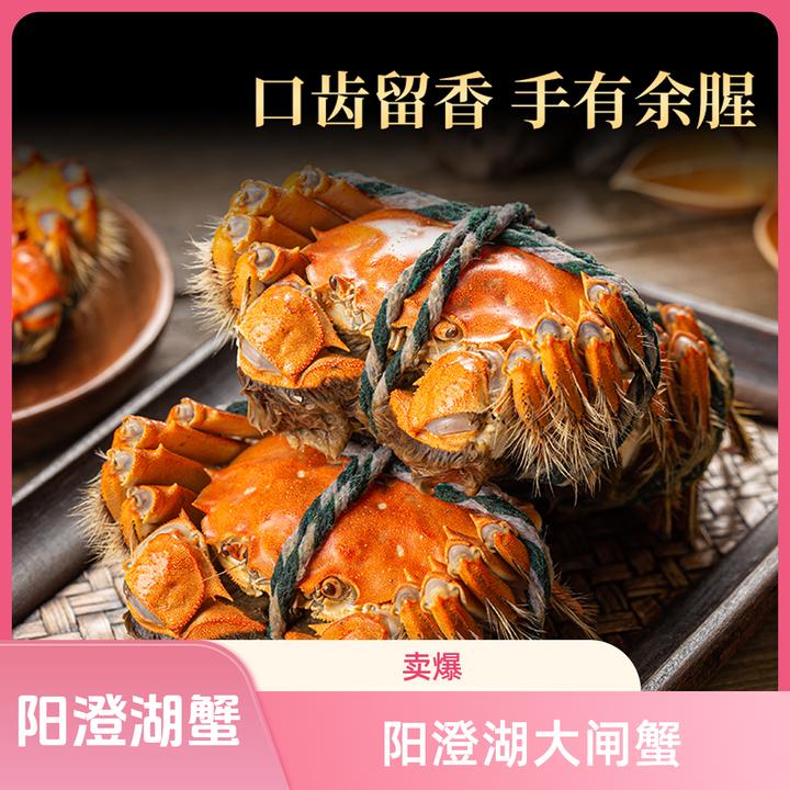 活蟹正宗阳澄湖迁红大闸蟹（3.5两母蟹+公蟹4两）8-10只塘养