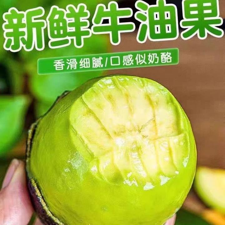 【变软食用】正宗秘鲁进口哈斯牛油果批发新鲜水果巨大果 100g-230g