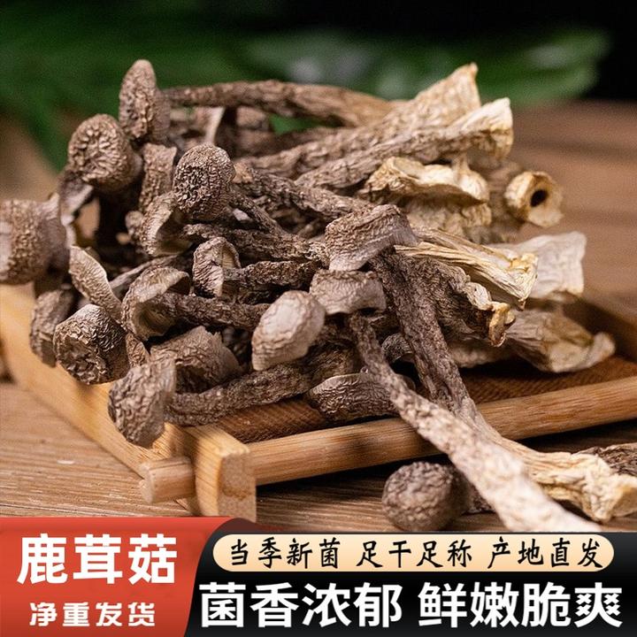 鹿茸菌菇干货特产新鲜鹿茸菇食用菌农产品正宗香菇干蘑菇产地直销