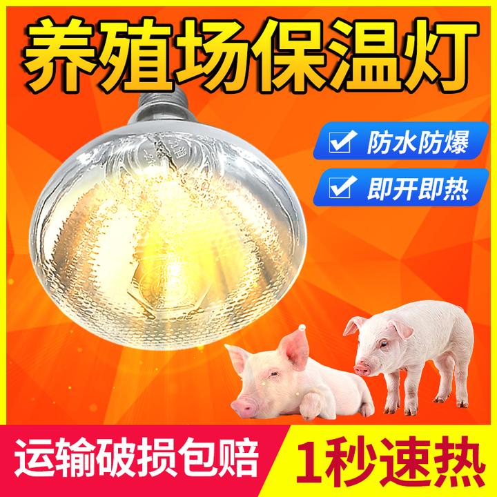 保温灯养殖节能灯泡仔猪用养殖场专用兽用芦丁鸡保温灯加热电烤灯