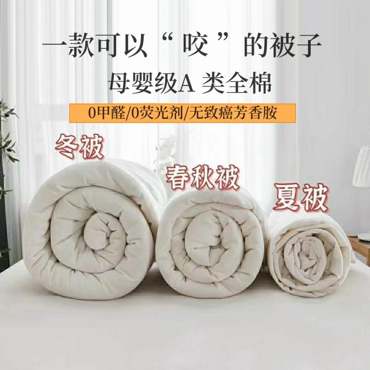 A类母婴级全棉大豆被冬天加厚被芯单双人被子被芯春秋被棉被保暖