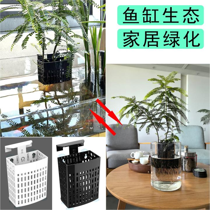鱼缸水培篮定植篮水质净化家居绿化水培鱼缸装饰造景鱼缸水培挂篮