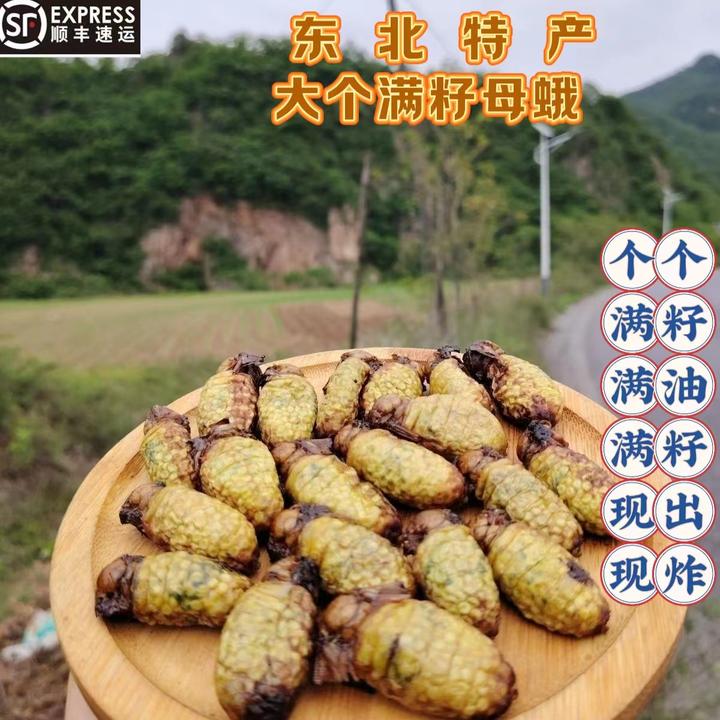 东北丹东特产大个满籽母蛾柞蚕蛾个个满籽现出现炸蘸干料顺丰包邮