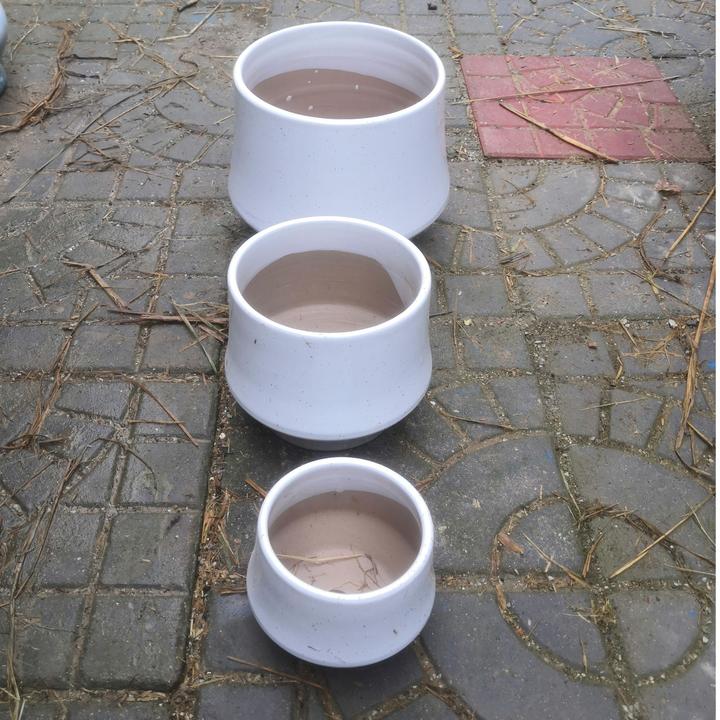 都山公园花卉80厂家直销特价各种各样花盆