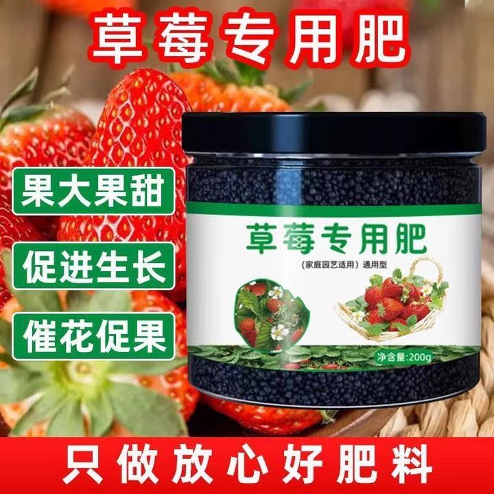【草莓专用肥】果大果甜增产延长坐果期家用盆栽颗粒缓释营养肥花肥