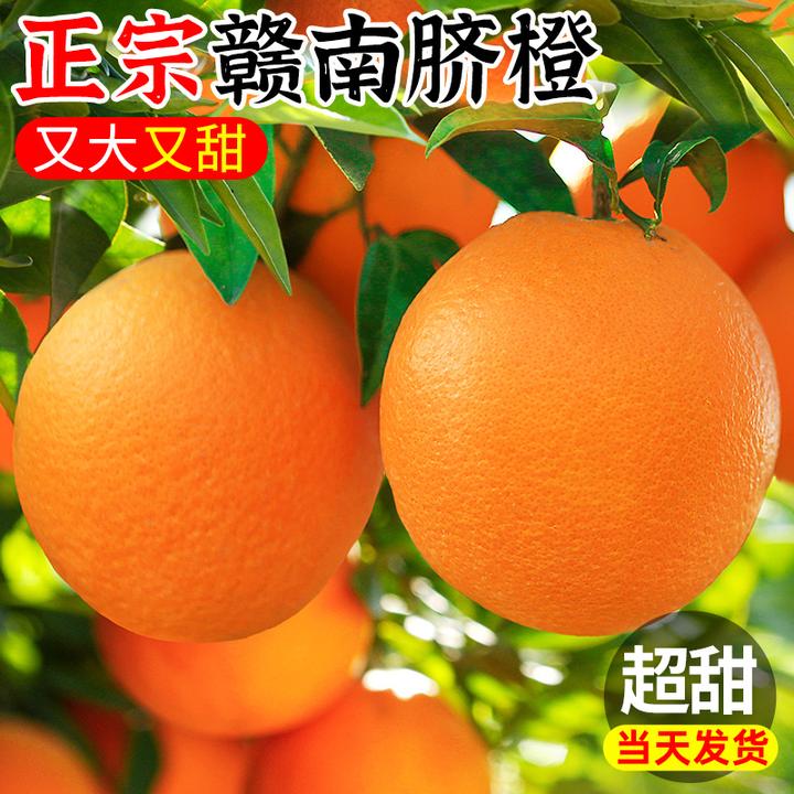 正宗赣南脐橙大果香甜橙子新鲜应季水果江西脐橙产地直发现摘现发