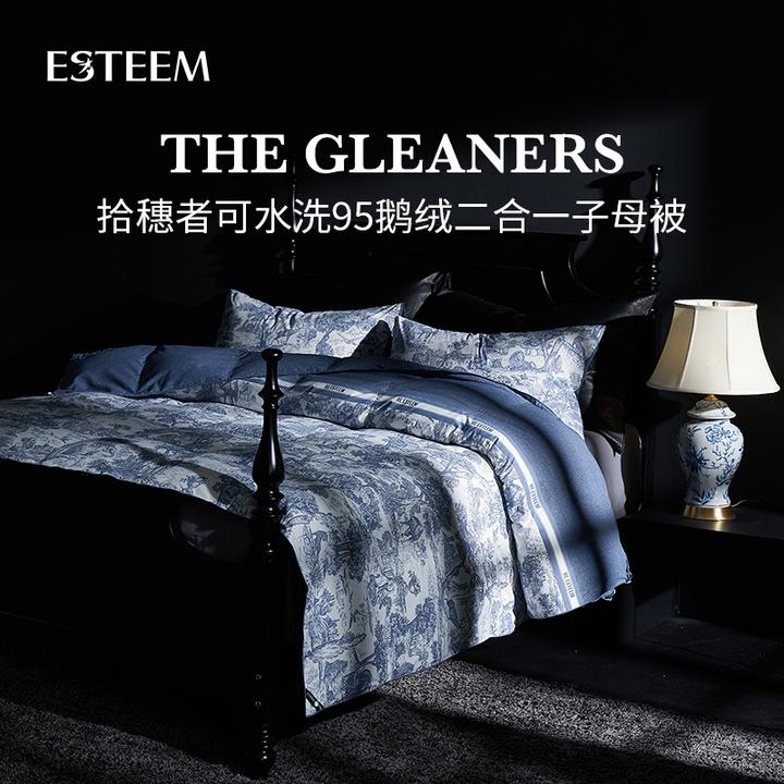 ESTEEM/宜庭拾穗者95白鹅绒可水洗鹅绒被子母被