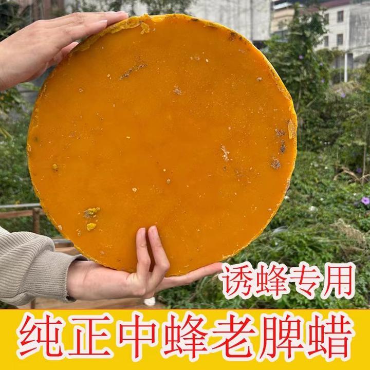 土蜂蜡天然黄蜂蜡诱蜂引蜂蜡诱蜜蜡诱蜂老脾蜡蜂蜡木用抛光中蜂蜡