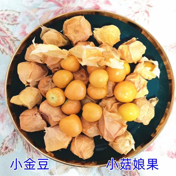 3斤东北小姑娘果特产水果新鲜灯笼果黄菇娘洋菇娘果甜观赛搭子