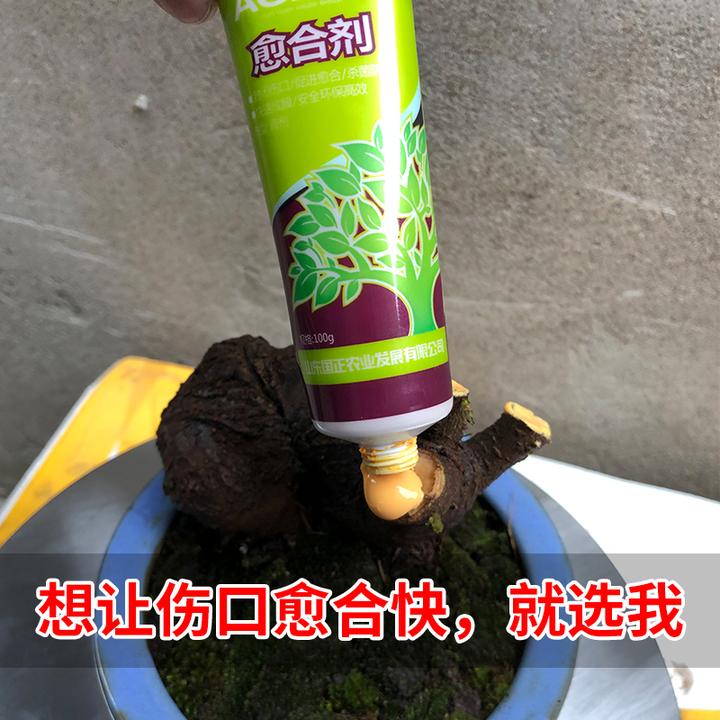 伤口愈合剂愈伤涂膜植物盆景树木修剪果树封口消毒防腐涂抹愈合膏