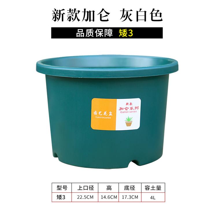 新款四代环保新料透气矮胖加仑盆简单多孔园艺花盆