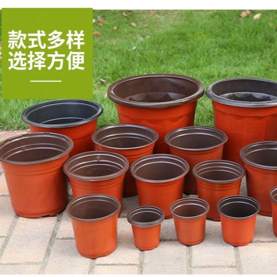 一次性育苗盆双色盆营养钵塑料简易花盆软塑料育苗双色花盆种植盆